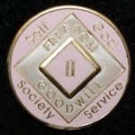 Pink Tri-Plate Medallions 11 Year NA Tri-Plate Pink Medallion