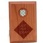 NA Medallion Holders Just For Today Wall Plaque Medallion Holder