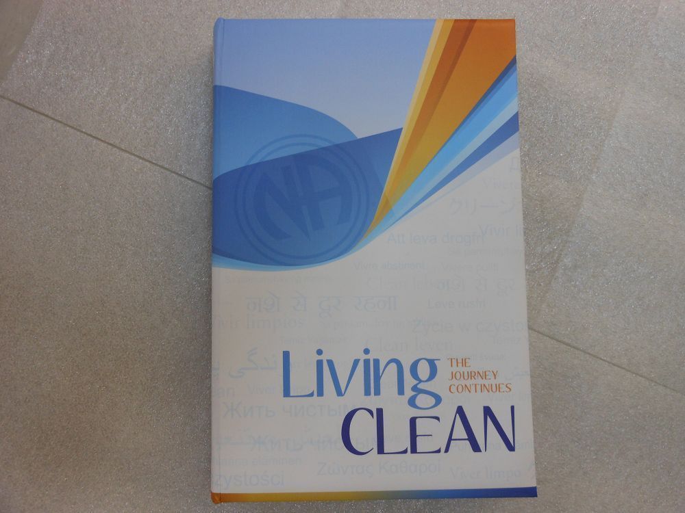 living clean the journey continues book
