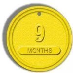 NA Recovery Chips Yellow 9 Month Chip