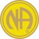 NA Lapel Pins NA Logo Lapel Pin Yellow & Gold