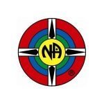 NA Lapel Pins NA Group Logo Lapel Pin