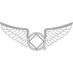NA Lapel Pins Wings Pin/r – White/Silver Trim